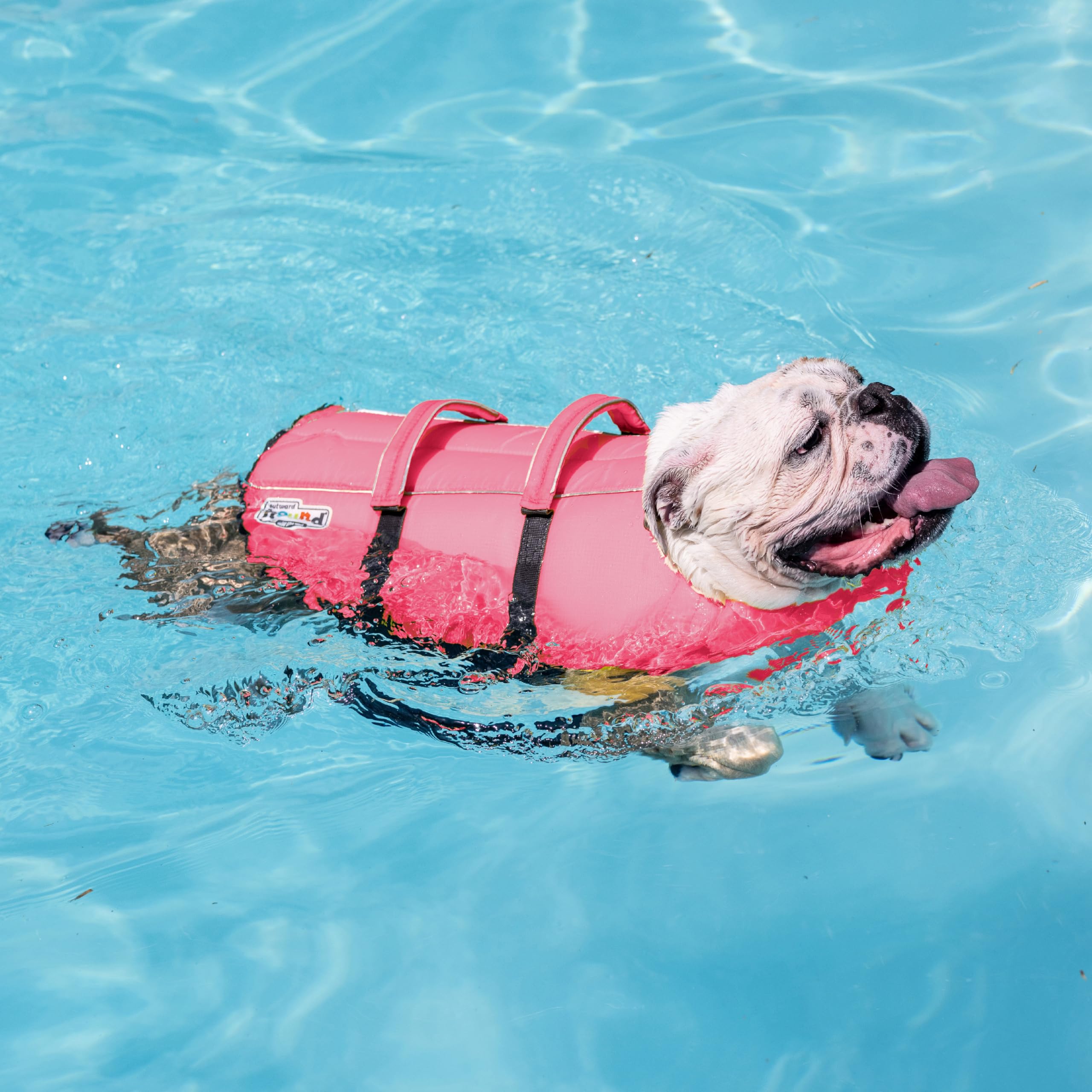 Amazon.com : Outward Hound Granby Splash Pink Dog Life Jacket, XS
